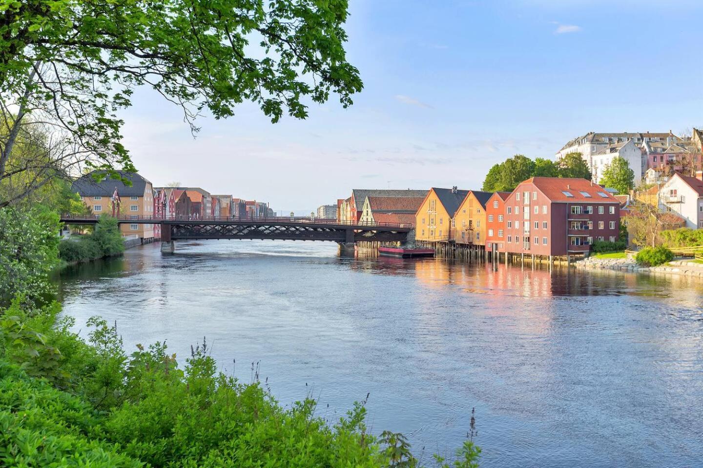 Du Vil Elske A Bo Her! Et Lite, Men Koselig Sted Med Perfekt Beliggenhet! * Trondheim